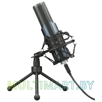 Микрофон Trust GXT 242 Lance картинка 2